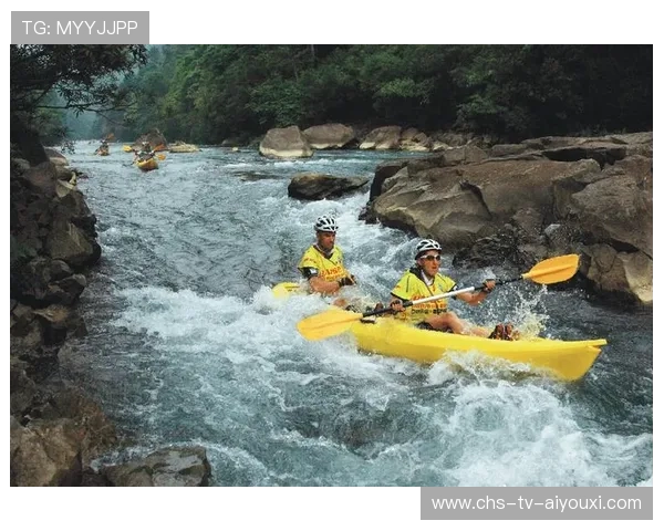打造本地运动生态系统分析内容的专题新闻平台，生态运动项目